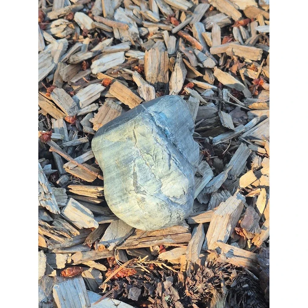 PNW Wishing Stone • Quartz Vein Beach Pebble • Cleansed PNW Altar Stone & Amulet